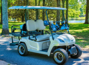 affordable golf cart rental, golf cart rent miami beach