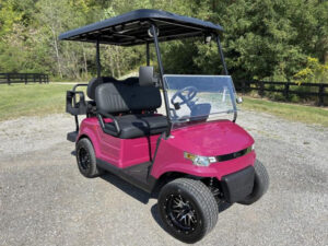 affordable golf cart rental, golf cart rent miami beach